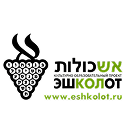 Научно-образовательный проект «Эшколот»